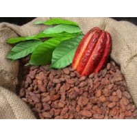 Cacao seco en grano