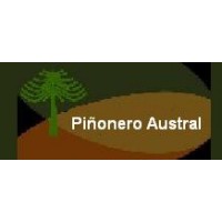 Piñonero Austral