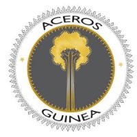 ACEROS GUINEA