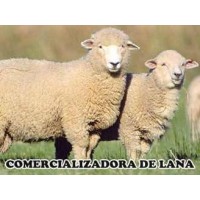 COMERCIALIZADORA DE LANA VIRGEN, TINTURADA, INDUSTRIAL Y PRODUCTOS DERIVADOS
