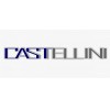 CASTELLINI S.R.L.