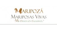 LIBERACION DE MARIPOSAS ARIPOZA|MARIPOSAS VIVAS
