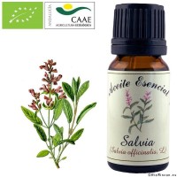 Aceite Esencial Salvia Bio. 12 ml