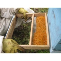 Polen de abejas a granel y al detalle