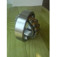 China professional ball bearings,roller bearings