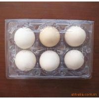 Maquina para fabricar bandeja de plastico para huevos directo de la fabrica desde China