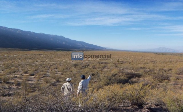 Vendo 37.000 has en Catamarca