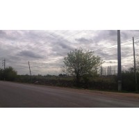Amplio terreno en venta en Pilar | 9984