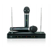 Enping lesing audio economic dual channel vhf wireless microphone system