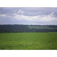Inversion Agropecuaria en Paraguay