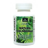 CALAGUALA  (En Frascos de 90 cpsulas de 500 mg.)