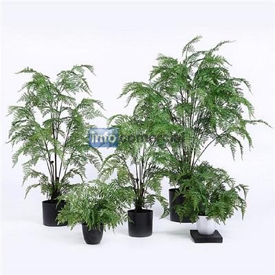 Artificial Indoor Ferns with Multi Stems