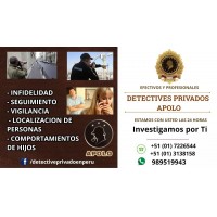 DETECTIVES PRIVADOS APOLO