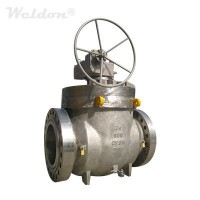 Stainless Steel Top Entry Ball Valve, A351 CF8M, 24 Inch, 900 LB