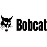 12X16.5 MINICARGADORA Bob Cat  Rodamarsa