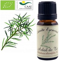 Aceite Esencial Arbol de Te BIO - (Melaleuca alternifolia). 12 ml